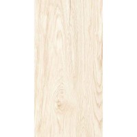 TILIA NATURAL 60x120 3514