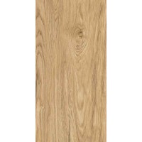 TILIA BROWN 60x120 3516