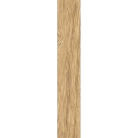 TILIA BROWN 20x120 3522