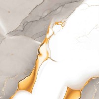 ARCTIC GOLD GREY SQ 60.5x60.5