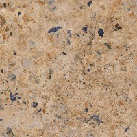 OSU CUERO MT 58.5x58.5 OSU CUERO MT 58.5x58.5