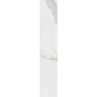 STEP SINCLAIR RETT 33x120