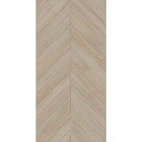 ESS. RLV. CHEVRON NUBOLE 60x120