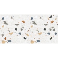 TERRAZZO POLISHED 60x120