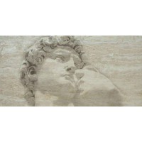 AGORA DAVID MT 30x60-8MM AGORA DAVID MT 30x60-8MM