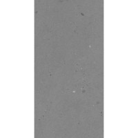 SAVONA MINERAL MATT 60x120