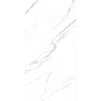 STATUARIO GREY GLOSSY 60x120