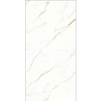 EON CALACATTA MATT SLIM 60x120