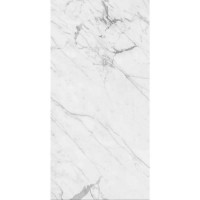 PIETRA SILVER GLOSSY 60x120 PIETRA SILVER GLOSSY 60x120