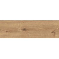 SANDWOOD BROWN 18,5x59,8 G1 W484-002-1