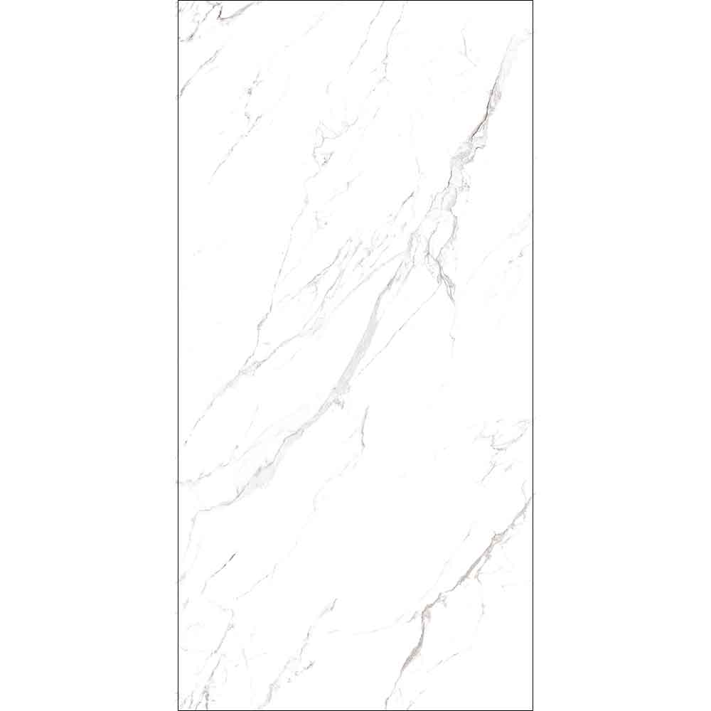 STATUARIO GRIGIO LUCIDO 120x278