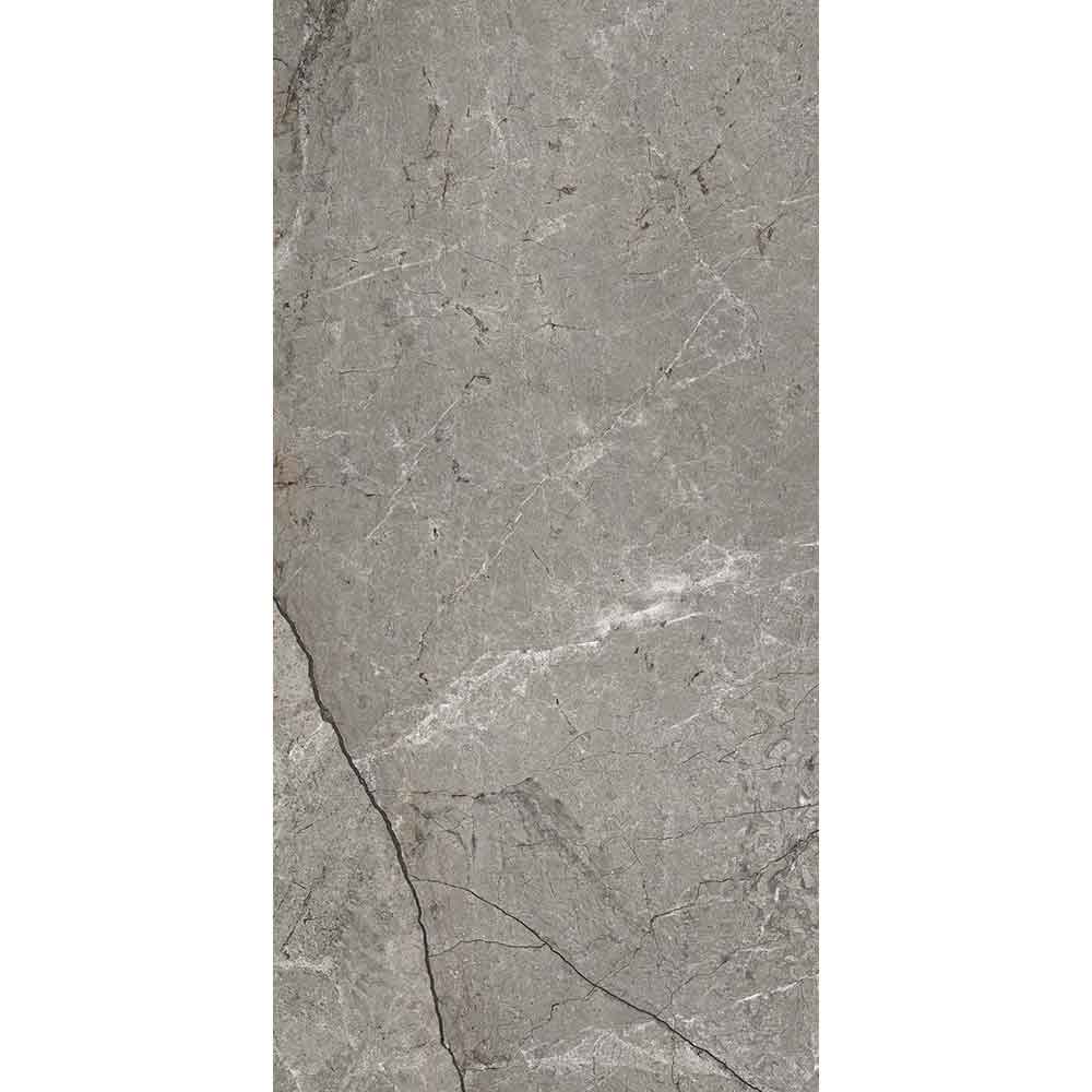 ARENA GREY 60x120 3525