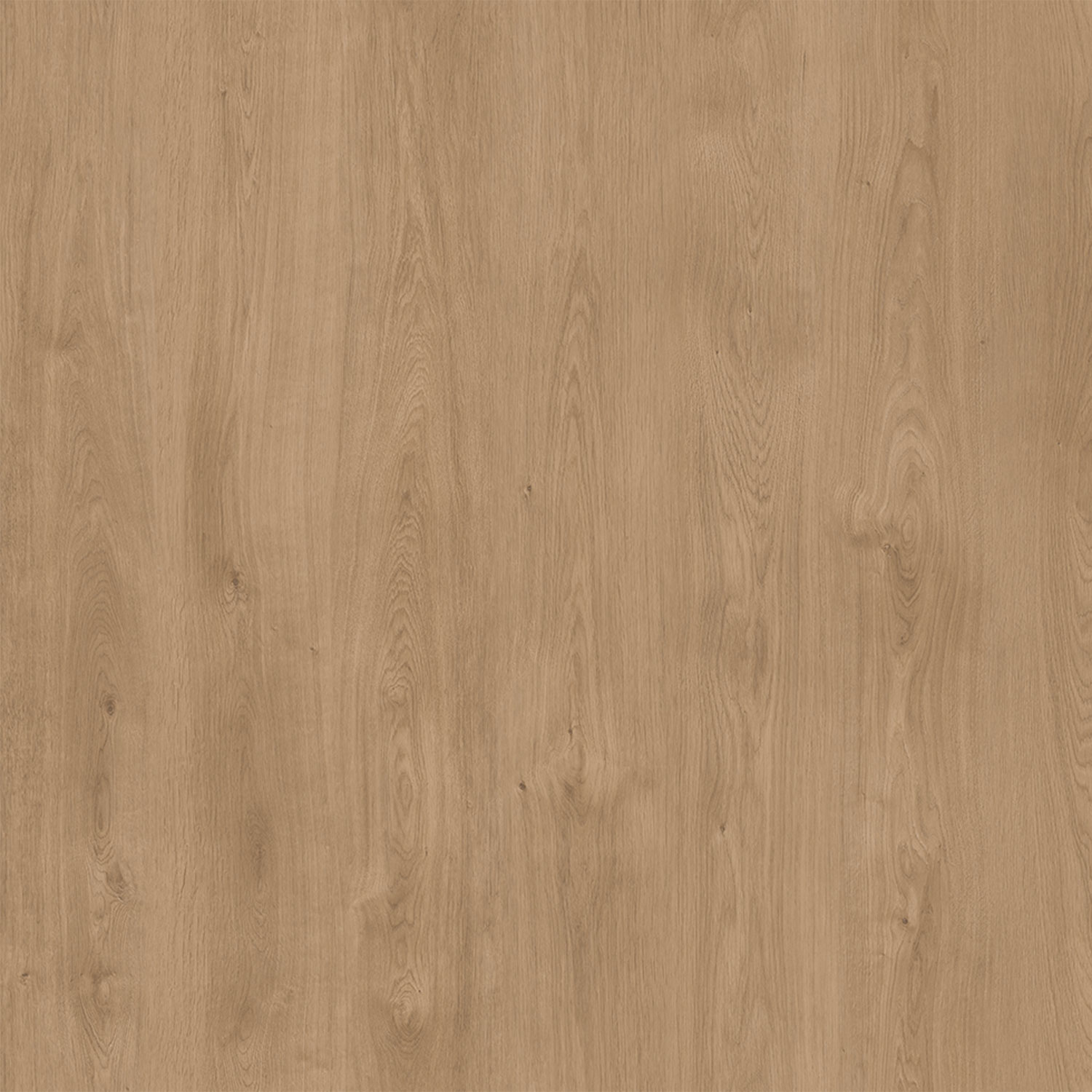 PARCHET NATURA SELECT NATURA OAK 8MM AC4 204 EP