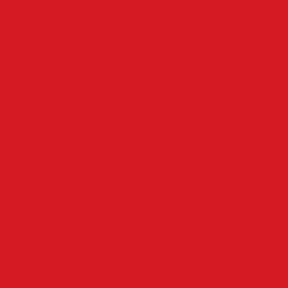 MONOCOLOR RED RECTIFIED 30x30 
