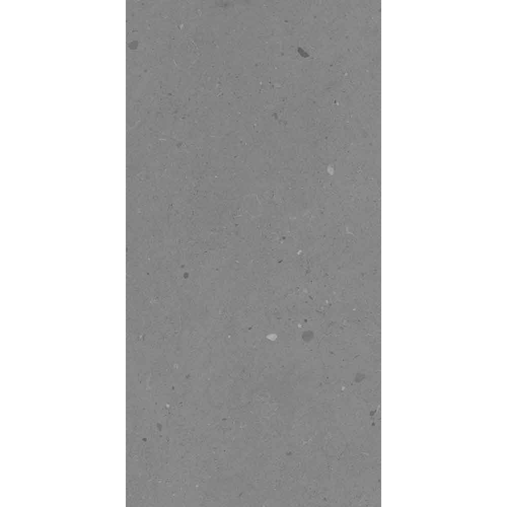 SAVONA MINERAL MATT 60x120