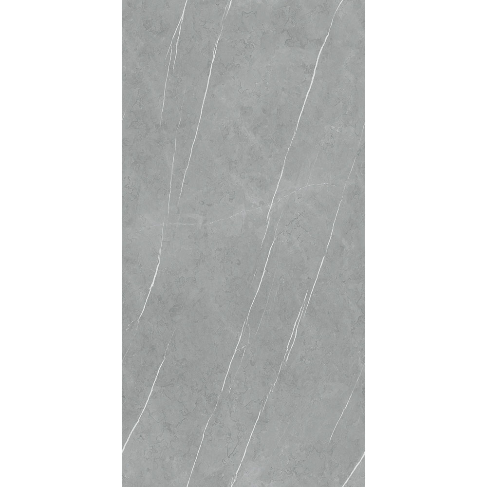PIETRA REGIO GREY MATT 80x160
