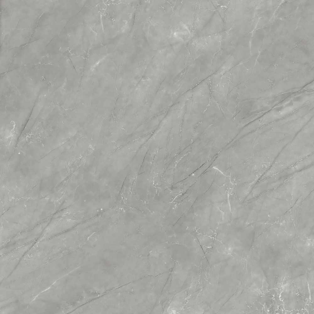 STONE VEINS GREY POLISHED REC 60x60