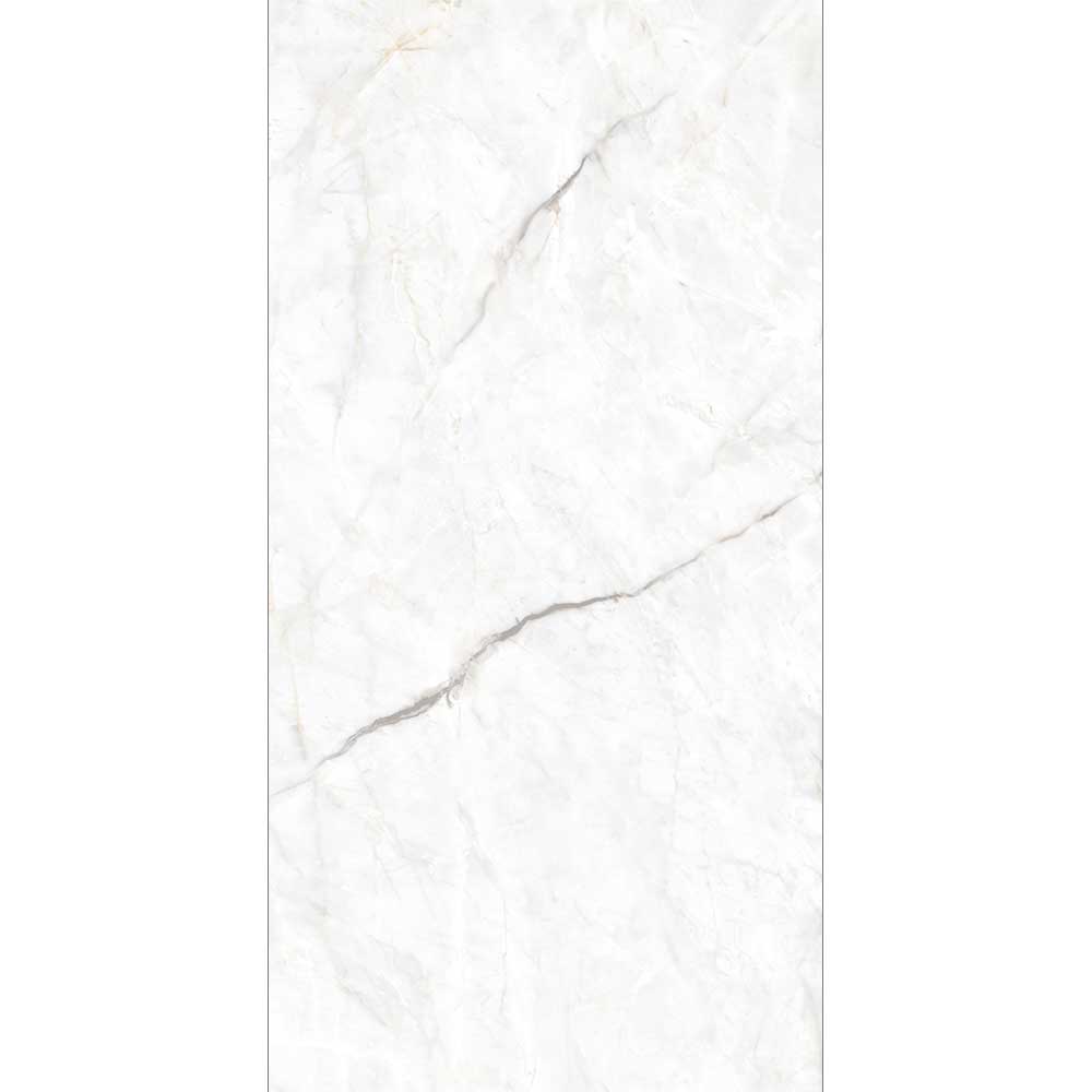SKERA SILVER CARVING 60x120