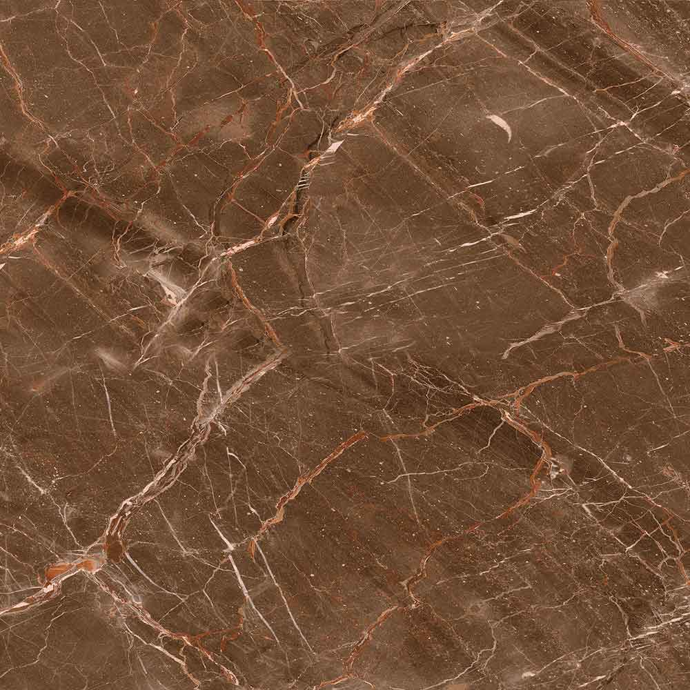 MEGAN DARK 61x61