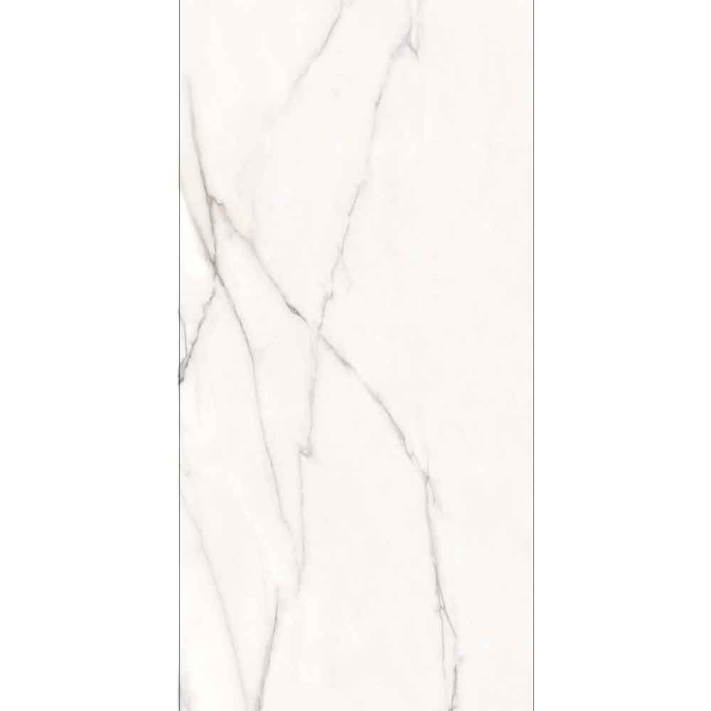 SNOWY WHITE 60x120