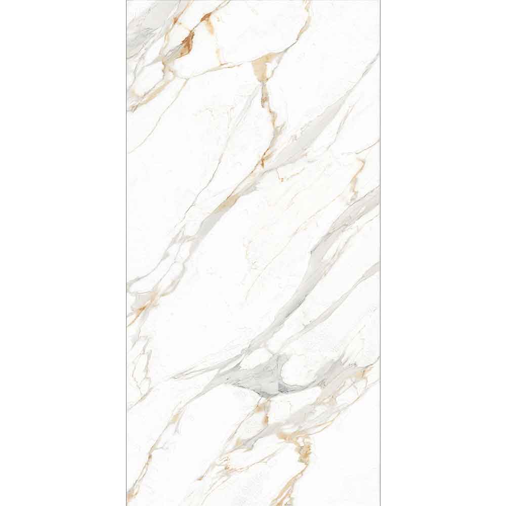 STATVARIO ANJELO 60x120
